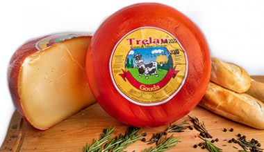 Queso Gouda